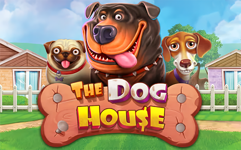 Play The Dog House slot with sticky wilds at Accessbet.