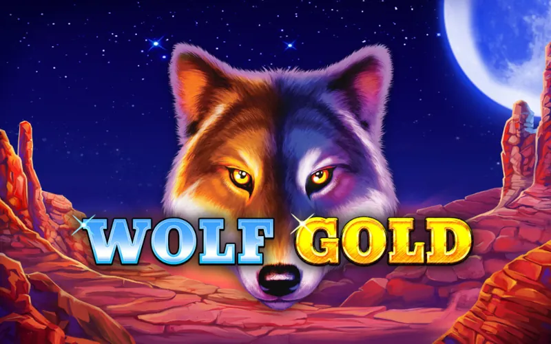 Win big with free spins in Wolf Gold at AccessBet.